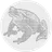Picture of DAO5