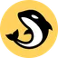 Picture of Orca token