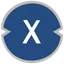 Picture of XDC Network token