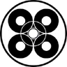 Token Icon